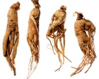 Î— Î±Ï€Î¿Î¾Î·ÏÎ±Î¼Î­Î½Î· ÏÎ¯Î¶Î± Ï„Î¿Ï… ginseng Î²Î¿Î·Î¸Î¬ÎµÎ¹ ÏƒÏ„Î·Î½ Î±Ï€ÏŽÎ»ÎµÎ¹Î± Î²Î¬ÏÎ¿Ï…Ï‚;live-in | Η Έξυπνη, Αντικειμενική και Εναλλακτική Ενημέρωση!