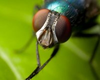 ÎÎ± Ï„ÎµÎ»Î¹ÎºÎ¬ Î³Î¹Î±Ï„Î¯ Î´ÎµÎ½ Ï€ÎµÏ„Ï…Ï‡Î±Î¯Î½Î¿Ï…Î¼Îµ Ï„Î· Î¼ÏÎ³Î±live-in | Η Έξυπνη, Αντικειμενική και Εναλλακτική Ενημέρωση!