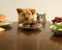 ÎœÎ· Î´Î¯Î½ÎµÏ„Îµ ÏŒ,Ï„Î¹ Ï„ÏÏŽÏ„Îµ ÏƒÏ„Î¿ ÎºÎ±Ï„Î¿Î¹ÎºÎ¯Î´Î¹ÏŒ ÏƒÎ±Ï‚!live-in | Η Έξυπνη, Αντικειμενική και Εναλλακτική Ενημέρωση!