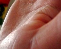 Î“Î¹Î±Ï„Î¯ Î­Ï‡Î¿Ï…Î¼Îµ Î³ÏÎ±Î¼Î¼Î­Ï‚ ÏƒÏ„Î¹Ï‚ Ï€Î±Î»Î¬Î¼ÎµÏ‚ Ï„Ï‰Î½ Ï‡ÎµÏÎ¹ÏŽÎ½;live-in | Η Έξυπνη, Αντικειμενική και Εναλλακτική Ενημέρωση!