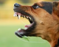 Î‘Î½Î±ÎºÎ¿Î¯Î½Ï‰ÏƒÎ· ÎšÏ…Î½Î·Î³ÎµÏ„Î¹ÎºÎ¿Ï Î£Ï…Î»Î»ÏŒÎ³Î¿Ï… ÎšÎ±Ï„ÎµÏÎ¯Î½Î·Ï‚ Î³Î¹Î± Ï„Î· Î›ÏÏƒÏƒÎ±!live-in | Η Έξυπνη, Αντικειμενική και Εναλλακτική Ενημέρωση!