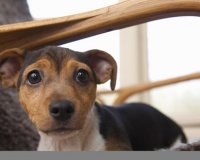 Î— ÎµÎ½Î¿Ï‡Î® Ï†Î±Î¯Î½ÎµÏ„Î±Î¹ ÏƒÏ„Î¿ Î²Î»Î­Î¼Î¼Î± Ï„Î¿Ï…Ï‚live-in | Η Έξυπνη, Αντικειμενική και Εναλλακτική Ενημέρωση!