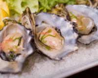 8 Î¸ÏÎµÏ€Ï„Î¹ÎºÎ­Ï‚ Ï„ÏÎ¿Ï†Î­Ï‚ Ï€Î¿Ï… Î´ÏÏƒÎºÎ¿Î»Î± Î¸Î± Ï„ÏÏŽÎ³Î±Ï„Îµ!live-in | Η Έξυπνη, Αντικειμενική και Εναλλακτική Ενημέρωση!