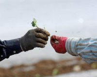 Î¤Î± ÎµÏ€Î±Î³Î³Î­Î»Î¼Î±Ï„Î± Î¼Îµ Ï„Î¹Ï‚ Ï€ÎµÏÎ¹ÏƒÏƒÏŒÏ„ÎµÏÎµÏ‚ Î¸Î­ÏƒÎµÎ¹Ï‚ Î±Ï€Î±ÏƒÏ‡ÏŒÎ»Î·ÏƒÎ·Ï‚ Î¼Î­Ï‡ÏÎ¹ Ï„Î¿ 2020live-in | Η Έξυπνη, Αντικειμενική και Εναλλακτική Ενημέρωση!