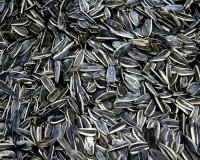 Î£Ï€ÏŒÏÎ¹Î± Î³Î¹Î± Ï€ÏÏŒÎ»Î·ÏˆÎ· Ï€ÏÎ¿ÏƒÏ„Î¬Ï„Î· ÎºÎ±Î¹ Î³Î¹Î± Ï†Ï…ÏƒÎ¹ÎºÏŒ ... Î¼Ï€ÏŒÏ„Î¿Î¾live-in | Η Έξυπνη, Αντικειμενική και Εναλλακτική Ενημέρωση!