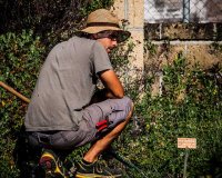ÎœÎµÎ¹ÏŽÏƒÏ„Îµ Ï„Î¿Î½ ÎºÎ¯Î½Î´Ï…Î½Î¿ Î³Î¹Î± Î­Î¼Ï†ÏÎ±Î³Î¼Î± Î® ÎµÎ³ÎºÎµÏ†Î±Î»Î¹ÎºÏŒ Î¼Î±ÏƒÏ„Î¿ÏÎµÏÎ¿Î½Ï„Î±Ï‚ ÎºÎ±Î¹ Î±ÏƒÏ‡Î¿Î»Î·Î¸ÎµÎ¯Ï„Îµ Î¼Îµ Ï„Î¿Î½ ÎºÎ®Ï€Î¿ ÏƒÎ±Ï‚!live-in | Η Έξυπνη, Αντικειμενική και Εναλλακτική Ενημέρωση!