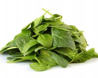 ÎŸÎ¹ 9 Â«ÏƒÎ¿ÏÏ€ÎµÏÂ» Ï„ÏÎ¿Ï†Î­Ï‚ Î³Î¹Î± Ï„Î· ÏƒÏ‰ÏƒÏ„Î® Î±Î½Î¬Ï€Ï„Ï…Î¾Î· Ï„Ï‰Î½ Ï€Î±Î¹Î´Î¹ÏŽÎ½ ÏƒÎ±Ï‚!live-in | Η Έξυπνη, Αντικειμενική και Εναλλακτική Ενημέρωση!