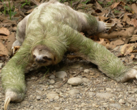 ÎˆÎ½Î± Â«Î’ÏÎ±Î´ÏÏ€Î¿Ï…Ï‚Â» Ï€ÏÎ¿ÏƒÏ€Î±Î¸ÎµÎ¯ Î½Î± Î´Î¹Î±ÏƒÏ‡Î¯ÏƒÎµÎ¹ Ï„Î¿ Î´ÏÏŒÎ¼Î¿live-in | Η Έξυπνη, Αντικειμενική και Εναλλακτική Ενημέρωση!