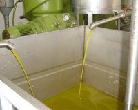 Î£Ï„Î¿ 30% Î¸Î± Î¼ÎµÎ¹Ï‰Î¸ÎµÎ¯ Î· Ï†ÎµÏ„Î¹Î½Î® Ï€Î±ÏÎ±Î³Ï‰Î³Î® Ï„Î¿Ï… ÎµÎ»Î±Î¹Î¿Î»Î¬Î´Î¿Ï…live-in | Η Έξυπνη, Αντικειμενική και Εναλλακτική Ενημέρωση!