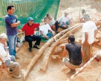 Î‘Î½Î±ÎºÎ¬Î»Ï…ÏˆÎµ ÏƒÏ„Î± Î“ÏÎµÎ²ÎµÎ½Î¬ Ï„Î¿Ï…Ï‚ Î¼ÎµÎ³Î±Î»ÏÏ„ÎµÏÎ¿Ï…Ï‚ Ï‡Î±Ï…Î»Î¹ÏŒÎ´Î¿Î½Ï„ÎµÏ‚ ÏƒÏ„Î¿Î½ ÎºÏŒÏƒÎ¼Î¿live-in | Η Έξυπνη, Αντικειμενική και Εναλλακτική Ενημέρωση!