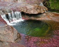 Cano Cristales, Ï„Î¿ Ï€Î¿Ï„Î¬Î¼Î¹ Ï€Î¿Ï… Î¾ÎµÎºÎ¹Î½Î¬ÎµÎ¹ Î±Ï€â€™ Ï„Î¿Î½ Ï€Î±ÏÎ¬Î´ÎµÎ¹ÏƒÎ¿!live-in | Η Έξυπνη, Αντικειμενική και Εναλλακτική Ενημέρωση!