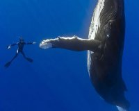 Photo shooting : Î¤Î·Î½ ÎºÎ±Ï„Î¬Î»Î»Î·Î»Î· ÏƒÏ„Î¹Î³Î¼Î®. ÎœÎ­ÏÎ¿Ï‚ 1Î¿live-in | Η Έξυπνη, Αντικειμενική και Εναλλακτική Ενημέρωση!