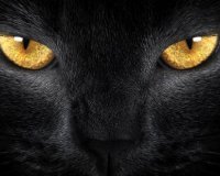 Î“ÎºÎ±Î½Ï„ÎµÎ¼Î¹Î¬: ÎŸ Ï€Î¹Î¿ Ï‡ÏÎ®ÏƒÎ¹Î¼Î¿Ï‚ Î¿Î´Î·Î³ÏŒÏ‚ ÎµÏ€Î¹Î²Î¯Ï‰ÏƒÎ·Ï‚live-in | Η Έξυπνη, Αντικειμενική και Εναλλακτική Ενημέρωση!