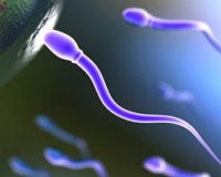 ÎÎ­Î¿ Ï„ÎµÏƒÏ„ Î´Î¹Î¬Î³Î½Ï‰ÏƒÎ·Ï‚ Ï„Î·Ï‚ Î±Î½Î´ÏÎ¹ÎºÎ®Ï‚ ÏƒÏ„ÎµÎ¹ÏÏŒÏ„Î·Ï„Î±Ï‚live-in | Η Έξυπνη, Αντικειμενική και Εναλλακτική Ενημέρωση!