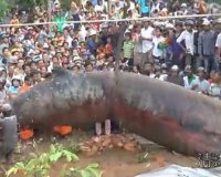 Â«Î˜Î±Î»Î¬ÏƒÏƒÎ¹Î¿ Ï„Î­ÏÎ±Ï‚Â» Î¾ÎµÎ²ÏÎ¬ÏƒÏ„Î·ÎºÎµ ÏƒÏ„Î¿ Î’Î¹ÎµÏ„Î½Î¬Î¼ â€“ Î”ÎµÎ¯Ï„Îµ Ï„Î¿ Î²Î¯Î½Ï„ÎµÎ¿ Ï€Î¿Ï… ÎºÎ¬Î½ÎµÎ¹ Ï„Î¿ Î³ÏÏÎ¿ Ï„Î¿Ï… ÎºÏŒÏƒÎ¼Î¿Ï…live-in | Η Έξυπνη, Αντικειμενική και Εναλλακτική Ενημέρωση!