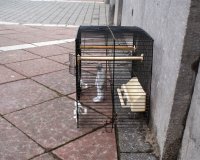 ÎœÎ¹Î½Î¹Î±Ï„Î¿ÏÏÎµÏ‚ Ï€ÎµÏÎ¹Î¼Î­Î½Î¿Ï…Î½ Ï„Î·Î½ ÎºÎ»Î¹Î¼Î±Ï„Î¹ÎºÎ® Î±Î»Î»Î±Î³Î®! ÎœÎ­ÏÎ¿Ï‚ 1Î¿live-in | Η Έξυπνη, Αντικειμενική και Εναλλακτική Ενημέρωση!