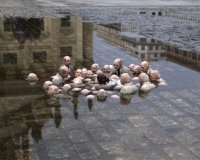 ÎœÎ¹Î½Î¹Î±Ï„Î¿ÏÏÎµÏ‚ Ï€ÎµÏÎ¹Î¼Î­Î½Î¿Ï…Î½ Ï„Î·Î½ ÎºÎ»Î¹Î¼Î±Ï„Î¹ÎºÎ® Î±Î»Î»Î±Î³Î®! ÎœÎ­ÏÎ¿Ï‚ 3Î¿live-in | Η Έξυπνη, Αντικειμενική και Εναλλακτική Ενημέρωση!