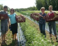 Î”Ï‰ÏÎµÎ¬Î½ Î´Î¹Î±ÎºÎ¿Ï€Î­Ï‚ Î´Î¿Ï…Î»ÎµÏÎ¿Î½Ï„Î±Ï‚ ÏƒÎµ Ï†Î¬ÏÎ¼ÎµÏ‚!live-in | Η Έξυπνη, Αντικειμενική και Εναλλακτική Ενημέρωση!