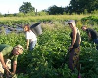 Î”Ï‰ÏÎµÎ¬Î½ Î´Î¹Î±ÎºÎ¿Ï€Î­Ï‚ Î´Î¿Ï…Î»ÎµÏÎ¿Î½Ï„Î±Ï‚ ÏƒÎµ Ï†Î¬ÏÎ¼ÎµÏ‚!live-in | Η Έξυπνη, Αντικειμενική και Εναλλακτική Ενημέρωση!