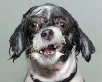 Î’ÏÎ¬Ï‡Î·ÎºÎ±Î½, Ï€ÏŒÎ¶Î±ÏÎ±Î½ ÎºÎ±Î¹ Î¹Î´Î¿Ï Ï„Î¿ Î±Ï€Î¿Ï„Î­Î»ÎµÏƒÎ¼Î±.live-in | Η Έξυπνη, Αντικειμενική και Εναλλακτική Ενημέρωση!