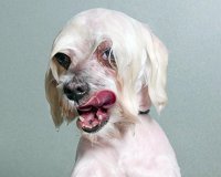 Î’ÏÎ¬Ï‡Î·ÎºÎ±Î½, Ï€ÏŒÎ¶Î±ÏÎ±Î½ ÎºÎ±Î¹ Î¹Î´Î¿Ï Ï„Î¿ Î±Ï€Î¿Ï„Î­Î»ÎµÏƒÎ¼Î±.live-in | Η Έξυπνη, Αντικειμενική και Εναλλακτική Ενημέρωση!