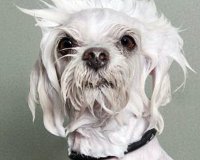 Î’ÏÎ¬Ï‡Î·ÎºÎ±Î½, Ï€ÏŒÎ¶Î±ÏÎ±Î½ ÎºÎ±Î¹ Î¹Î´Î¿Ï Ï„Î¿ Î±Ï€Î¿Ï„Î­Î»ÎµÏƒÎ¼Î±.live-in | Η Έξυπνη, Αντικειμενική και Εναλλακτική Ενημέρωση!