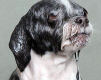 Î’ÏÎ¬Ï‡Î·ÎºÎ±Î½, Ï€ÏŒÎ¶Î±ÏÎ±Î½ ÎºÎ±Î¹ Î¹Î´Î¿Ï Ï„Î¿ Î±Ï€Î¿Ï„Î­Î»ÎµÏƒÎ¼Î±.live-in | Η Έξυπνη, Αντικειμενική και Εναλλακτική Ενημέρωση!