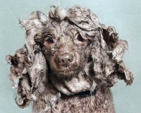 Î’ÏÎ¬Ï‡Î·ÎºÎ±Î½, Ï€ÏŒÎ¶Î±ÏÎ±Î½ ÎºÎ±Î¹ Î¹Î´Î¿Ï Ï„Î¿ Î±Ï€Î¿Ï„Î­Î»ÎµÏƒÎ¼Î±.live-in | Η Έξυπνη, Αντικειμενική και Εναλλακτική Ενημέρωση!