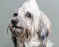 Î’ÏÎ¬Ï‡Î·ÎºÎ±Î½, Ï€ÏŒÎ¶Î±ÏÎ±Î½ ÎºÎ±Î¹ Î¹Î´Î¿Ï Ï„Î¿ Î±Ï€Î¿Ï„Î­Î»ÎµÏƒÎ¼Î±.live-in | Η Έξυπνη, Αντικειμενική και Εναλλακτική Ενημέρωση!