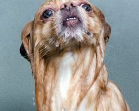 Î’ÏÎ¬Ï‡Î·ÎºÎ±Î½, Ï€ÏŒÎ¶Î±ÏÎ±Î½ ÎºÎ±Î¹ Î¹Î´Î¿Ï Ï„Î¿ Î±Ï€Î¿Ï„Î­Î»ÎµÏƒÎ¼Î±.live-in | Η Έξυπνη, Αντικειμενική και Εναλλακτική Ενημέρωση!