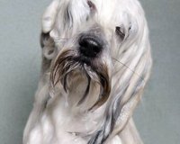 Î’ÏÎ¬Ï‡Î·ÎºÎ±Î½, Ï€ÏŒÎ¶Î±ÏÎ±Î½ ÎºÎ±Î¹ Î¹Î´Î¿Ï Ï„Î¿ Î±Ï€Î¿Ï„Î­Î»ÎµÏƒÎ¼Î±.live-in | Η Έξυπνη, Αντικειμενική και Εναλλακτική Ενημέρωση!