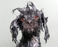 Î’ÏÎ¬Ï‡Î·ÎºÎ±Î½, Ï€ÏŒÎ¶Î±ÏÎ±Î½ ÎºÎ±Î¹ Î¹Î´Î¿Ï Ï„Î¿ Î±Ï€Î¿Ï„Î­Î»ÎµÏƒÎ¼Î±.live-in | Η Έξυπνη, Αντικειμενική και Εναλλακτική Ενημέρωση!