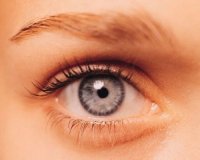 Î Î­Î½Ï„Îµ Ï„ÏÎ¿Ï†Î­Ï‚ Î³Î¹Î± Ï„Î­Î»ÎµÎ¹Î± ÏŒÏÎ±ÏƒÎ·live-in | Η Έξυπνη, Αντικειμενική και Εναλλακτική Ενημέρωση!