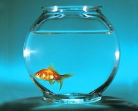 Î Î­Î½Ï„Îµ Ï€ÏÎ¬Î³Î¼Î±Ï„Î± Ï€Î¿Ï… Î¾Î­ÏÎ¿Ï…Î¼Îµ Î»Î¬Î¸Î¿Ï‚live-in | Η Έξυπνη, Αντικειμενική και Εναλλακτική Ενημέρωση!