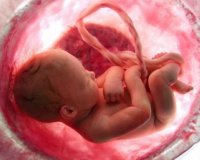 Î— Î¶Ï‰Î® ÏƒÏ„Î· Î¼Î®Ï„ÏÎ±: 9 Î¼Î®Î½ÎµÏ‚ ÏƒÎµ 4 Î»ÎµÏ€Ï„Î¬. Î”ÎµÎ¯Ï„Îµ Ï„Î¿ Î²Î¯Î½Ï„ÎµÎ¿!live-in | Η Έξυπνη, Αντικειμενική και Εναλλακτική Ενημέρωση!