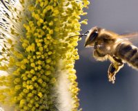 Î Î¬ÏÏ„Îµ Ï€Î¿Î»ÏÏ„Î¹Î¼ÎµÏ‚ Î¿Ï…ÏƒÎ¯ÎµÏ‚ Î±Ï€ÏŒ Ï„Î· Î³ÏÏÎ·!live-in | Η Έξυπνη, Αντικειμενική και Εναλλακτική Ενημέρωση!