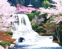 SACURA: Î— ÎµÎºÏ€Î»Î·ÎºÏ„Î¹ÎºÎ® Î»Î¯Î¼Î½Î· Î¼Îµ Ï„Î¹Ï‚ ÎºÎµÏÎ±ÏƒÎ¹Î­Ï‚!live-in | Η Έξυπνη, Αντικειμενική και Εναλλακτική Ενημέρωση!