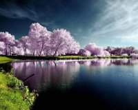 SACURA: Î— ÎµÎºÏ€Î»Î·ÎºÏ„Î¹ÎºÎ® Î»Î¯Î¼Î½Î· Î¼Îµ Ï„Î¹Ï‚ ÎºÎµÏÎ±ÏƒÎ¹Î­Ï‚!live-in | Η Έξυπνη, Αντικειμενική και Εναλλακτική Ενημέρωση!