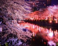 SACURA: Î— ÎµÎºÏ€Î»Î·ÎºÏ„Î¹ÎºÎ® Î»Î¯Î¼Î½Î· Î¼Îµ Ï„Î¹Ï‚ ÎºÎµÏÎ±ÏƒÎ¹Î­Ï‚!live-in | Η Έξυπνη, Αντικειμενική και Εναλλακτική Ενημέρωση!