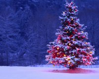 Î“Î¹Î±Ï„Î¯ Î±Ï€Î±ÏÎ±Î¯Ï„Î·Ï„Î± Î­Î»Î±Ï„Î¿..;live-in | Η Έξυπνη, Αντικειμενική και Εναλλακτική Ενημέρωση!