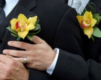 Î‘Ï…ÏƒÏ„ÏÎ±Î»Î¯Î±: Î¤Î¿ Î‘Î½ÏŽÏ„Î±Ï„Î¿ Î”Î¹ÎºÎ±ÏƒÏ„Î®ÏÎ¹Î¿ Î±Ï€Î±Î³ÏŒÏÎµÏ…ÏƒÎµ Ï„Î¿Ï…Ï‚ Î³Î¬Î¼Î¿Ï…Ï‚ Î¿Î¼oÏ†Ï…Î»Î¿Ï†Î¯Î»Ï‰Î½live-in | Η Έξυπνη, Αντικειμενική και Εναλλακτική Ενημέρωση!