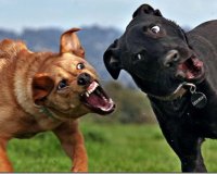 Î¦Ï‰Ï„Î¿Î³ÏÎ±Ï†Î¯ÎµÏ‚ Ï„ÏÎ±Î²Î·Î³Î¼Î­Î½ÎµÏ‚ Ï„Î·Î½ ÎºÎ±Ï„Î¬Î»Î»Î·Î»Î· ÏƒÏ„Î¹Î³Î¼Î® (pics)live-in | Η Έξυπνη, Αντικειμενική και Εναλλακτική Ενημέρωση!