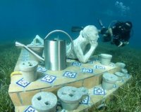 Î¥Ï€Î­ÏÎ¿Ï‡Î± Ï…Ï€Î¿Î²ÏÏÏ‡Î¹Î± Î³Î»Ï…Ï€Ï„Î¬! (Ï†Ï‰Ï„ÏŒ)live-in | Η Έξυπνη, Αντικειμενική και Εναλλακτική Ενημέρωση!