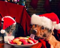 Î‘ÎÎ•ÎšÎ”ÎŸÎ¤ÎŸ: Î§ÏÎ¹ÏƒÏ„Î¿Ï…Î³ÎµÎ½Î½Î¹Î¬Ï„Î¹ÎºÎ¿ Ï†Î¹Î»Î¿Î´ÏŽÏÎ·Î¼Î±live-in | Η Έξυπνη, Αντικειμενική και Εναλλακτική Ενημέρωση!