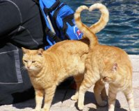 Photo shooting : Î¤Î·Î½ ÎºÎ±Ï„Î¬Î»Î»Î·Î»Î· ÏƒÏ„Î¹Î³Î¼Î®. ÎœÎ­ÏÎ¿Ï‚ 2Î¿live-in | Η Έξυπνη, Αντικειμενική και Εναλλακτική Ενημέρωση!