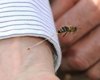 Photo shooting : Î¤Î·Î½ ÎºÎ±Ï„Î¬Î»Î»Î·Î»Î· ÏƒÏ„Î¹Î³Î¼Î®. ÎœÎ­ÏÎ¿Ï‚ 2Î¿live-in | Η Έξυπνη, Αντικειμενική και Εναλλακτική Ενημέρωση!