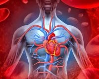 13 Ï€Î±ÏÎ¬Î¾ÎµÎ½ÎµÏ‚ Ï€Î»Î·ÏÎ¿Ï†Î¿ÏÎ¯ÎµÏ‚ Î³Î¹Î± Ï„Î¿ Î±Î½Î¸ÏÏŽÏ€Î¹Î½Î¿ ÏƒÏŽÎ¼Î±live-in | Η Έξυπνη, Αντικειμενική και Εναλλακτική Ενημέρωση!