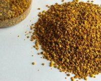 5 Î»ÏŒÎ³Î¿Î¹ Î³Î¹Î± Î½Î± Î´Î¿ÎºÎ¹Î¼Î¬ÏƒÎµÏ„Îµ Î³ÏÏÎ·live-in | Η Έξυπνη, Αντικειμενική και Εναλλακτική Ενημέρωση!