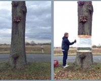 Î¤Î¿ Î´Î­Î½Ï„ÏÎ¿ Ï€Î¿Ï…... Î±Î¹Ï‰ÏÎµÎ¯Ï„Î±Î¹. Î ÏÏ‰Ï„ÏŒÏ„Ï…Ï€Î· Î¿Ï†Î¸Î±Î»Î¼Î±Ï€Î¬Ï„Î·!live-in | Η Έξυπνη, Αντικειμενική και Εναλλακτική Ενημέρωση!