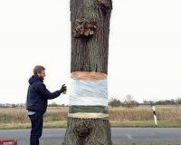 Î¤Î¿ Î´Î­Î½Ï„ÏÎ¿ Ï€Î¿Ï…... Î±Î¹Ï‰ÏÎµÎ¯Ï„Î±Î¹. Î ÏÏ‰Ï„ÏŒÏ„Ï…Ï€Î· Î¿Ï†Î¸Î±Î»Î¼Î±Ï€Î¬Ï„Î·!live-in | Η Έξυπνη, Αντικειμενική και Εναλλακτική Ενημέρωση!